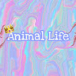 Meet your Posher, Animal